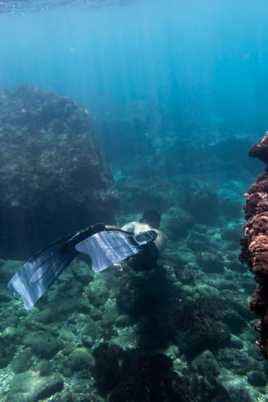 Hull Cleaning Underwater